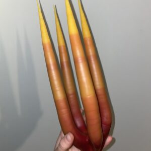 🔥Advent Candle "Ohníček 1"🔥