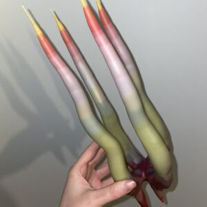 Advent Candle π₯π₯π₯